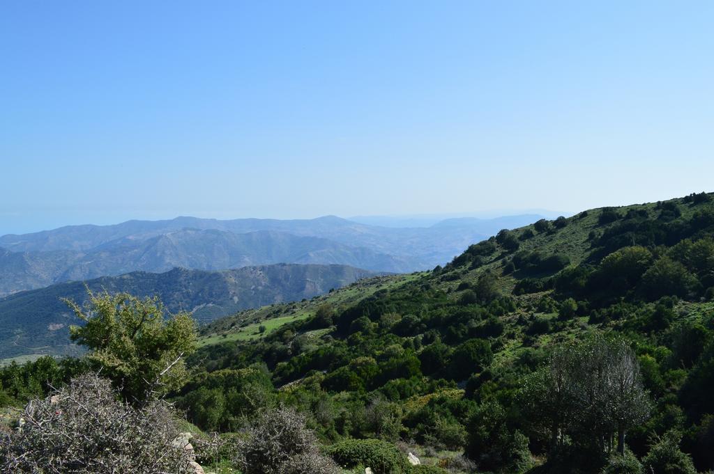 Il Castello Bed & Breakfast Petralia Sottana Luaran gambar